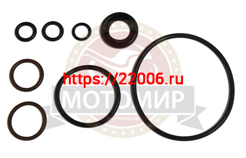 Набор уплотнительных колец двигателя  LF163 FML-2MP