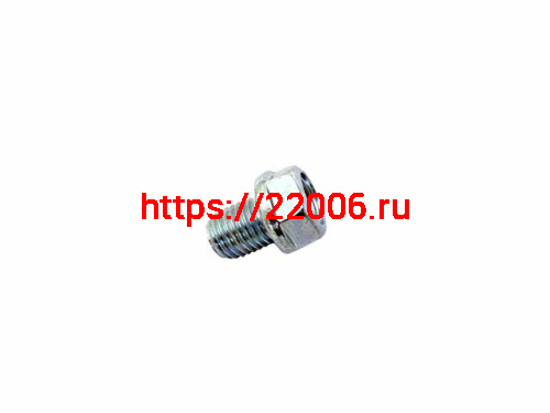 Болт слива масла 4Т 172FMM (CB250D-F) Болт слива масла 4Т 172FMM (CB250D-F)