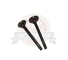 Клапан впускной/выпускной "Zodiak",  Альфа 70/90/110 152FMH (d20/h65мм, d23/h66мм) (компл)