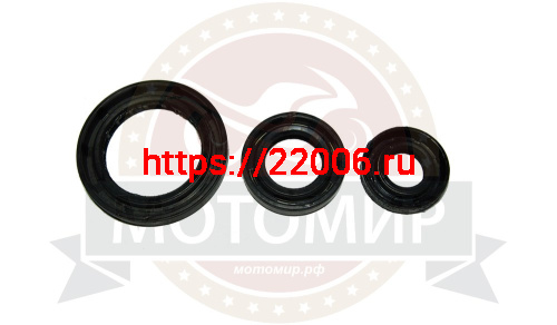 Набор сальников двигатель 167FMM (230CGB) ADVENTURE(72110123,72110009,72110011)