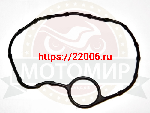 Прокладка крышки головки цилиндров LF163 FML-2MP (E01-02) (НАБОР) Прокладка крышки головки цилиндров LF163 FML-2MP (E01-02) (НАБОР)